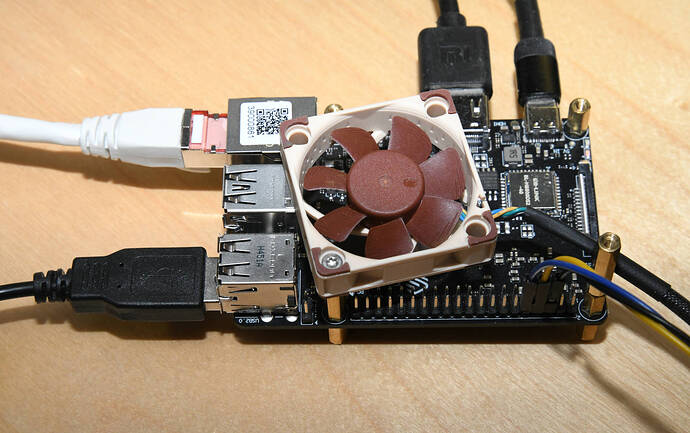 dsc_5295-crop-scale2